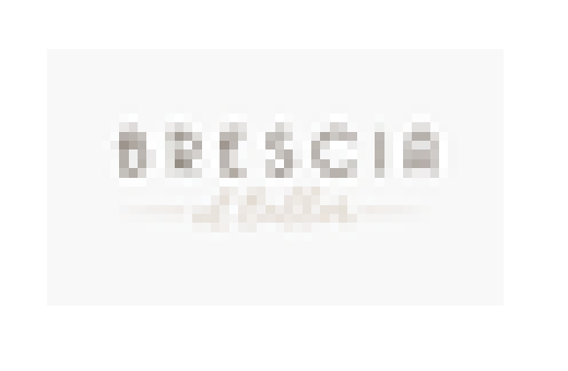 Logo de Brescia El Taller